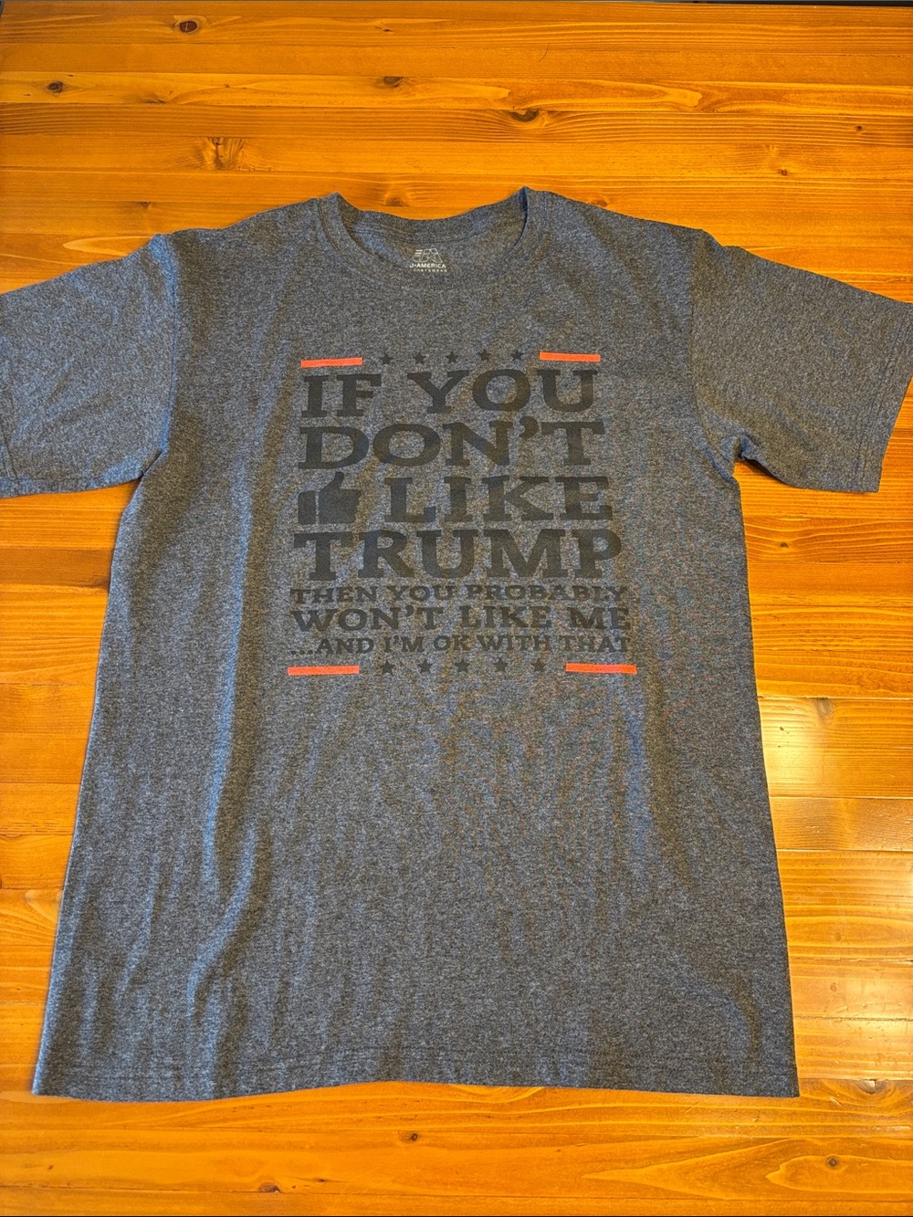 J. America Gray Graphic Short Sleeve Tee with Red Accents